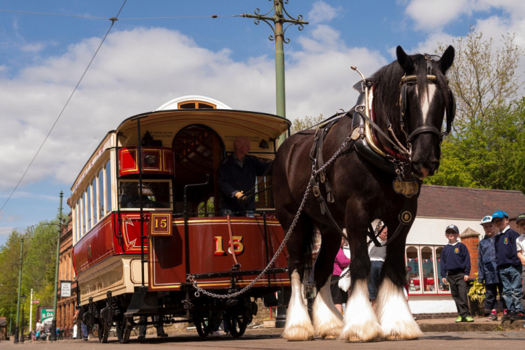 Javni prevoz! Konjski tramvaj Douglas Bay poslednji je preživeli na svetu