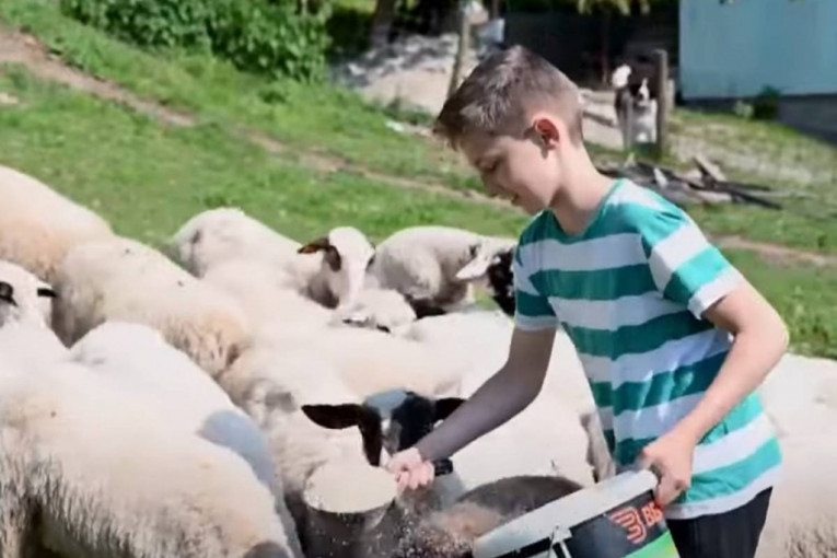 Najmlađi pastir: Od džeparca, umesto igračaka, kupuje ovce