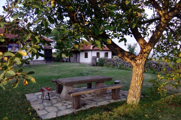 Na imanju Crnojevića živi najviše seoskih lasta: Prebrojano čak 101 aktivno gnezdo