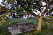 Na imanju Crnojevića živi najviše seoskih lasta: Prebrojano čak 101 aktivno gnezdo