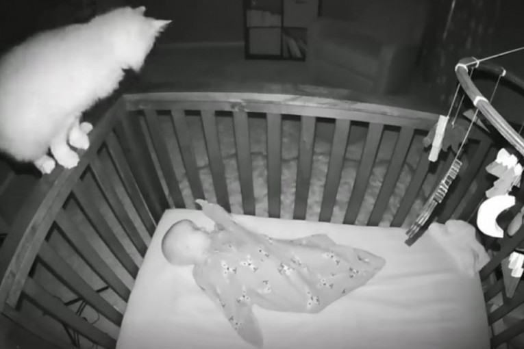 Kamera snimila šta mačka noću radi u krevecu kraj bebe (VIDEO)