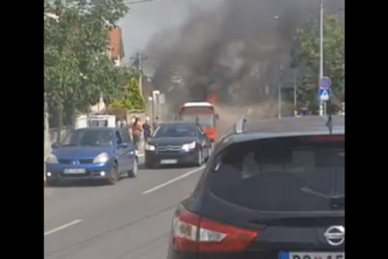 Goreo autobus na Zvezdari: Osam vatrogasaca se borilo sa vatrenom stihijom (VIDEO)