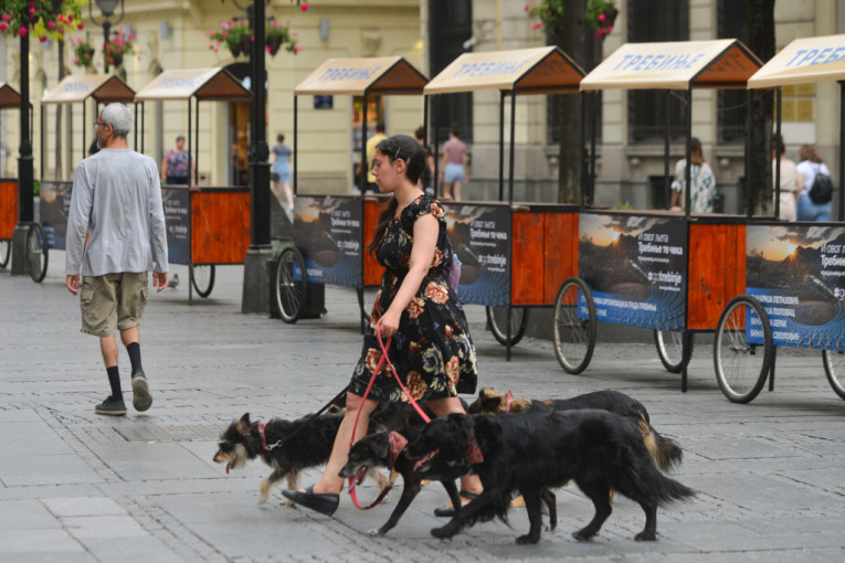 Užareni asfalt može biti opasan za pseće šape: Ovo su znaci da je vaš ljubimac predugo u šetnji