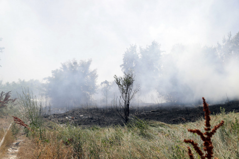 Lokalizovan požar u Vinči, uništene veće površine useva