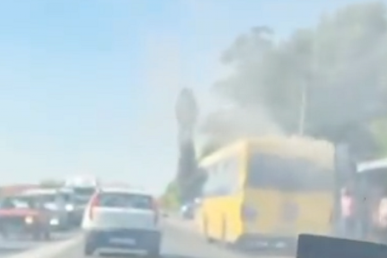 Zapalio se autobus na Zrenjaninskom putu: Vatra izbila kod motora