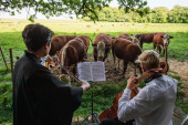 Svira klasičnu muziku na farmi krava: "Bolje reaguju na zvuk koji je sličan mukanju" (VIDEO)