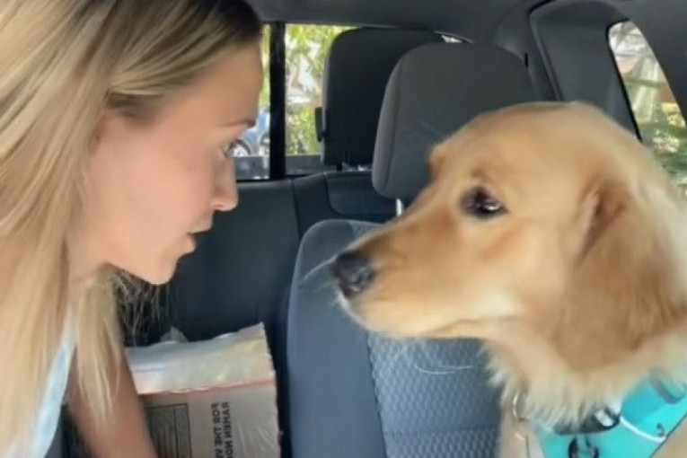 Prizor žene koja se prema psu ponaša kao pas prema čoveku zbunio je psa i nasmejao ljude (VIDEO)