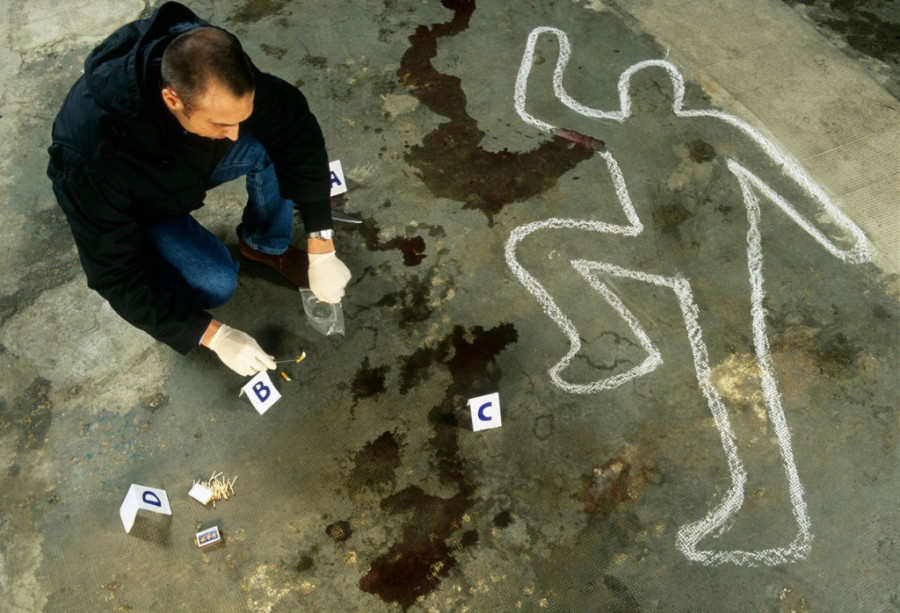 Komarac ubio Jelicu, odležao kaznu, pa iskasapio transvestita: On je rođeni brat monstruma iz Pohorske!