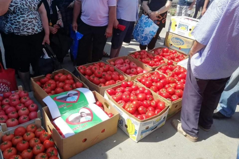 Nedimović: Država će pomoći leskovačkim proizvođačima paradajza, naći ćemo i investitore