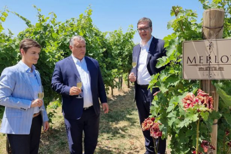 Predsednik Vučić i premijerka Brnabić ugostili Orbana u sremskim vinogradima (FOTO)