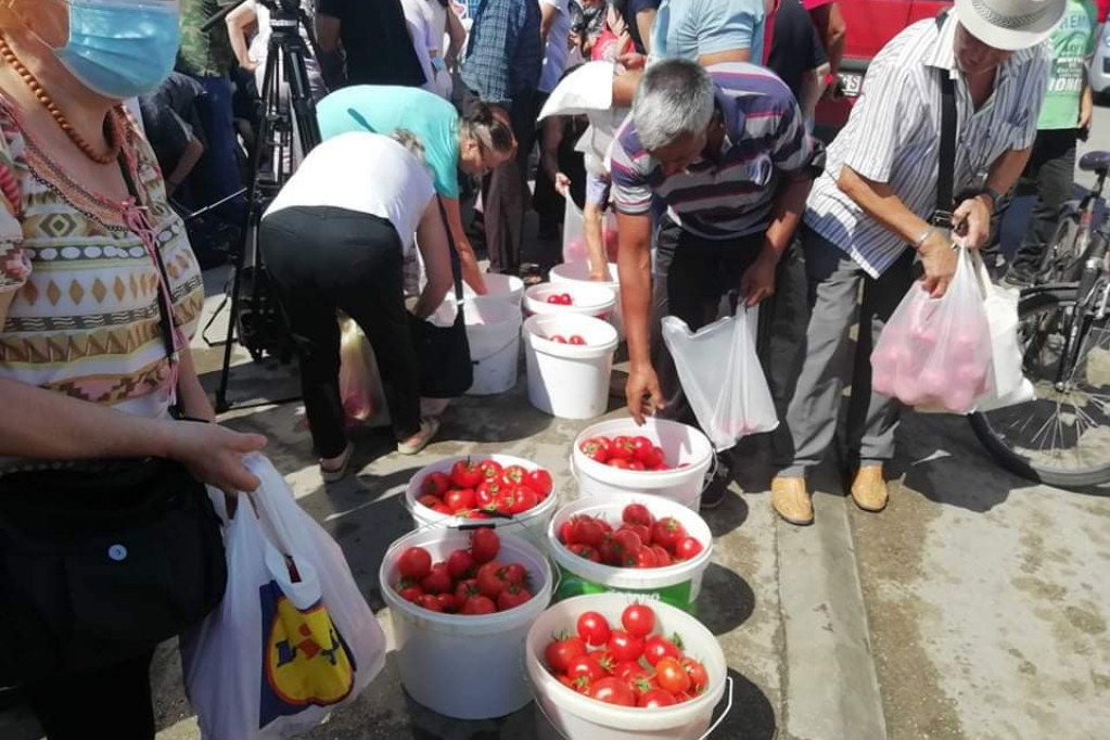 U Leskovcu besplatno delili paradajz: Poljoprivrednici nezadovoljni niskom otkupnom cenom (FOTO)