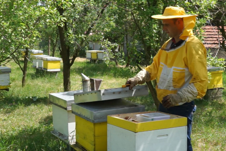 Pravac Sajam, ako želite pravi med: Pčelari u Beogradu, za potrošače besplatno