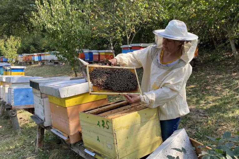Danijela je svima pokazala da pčelarstvo nije samo muški posao: Pčele su me usrećile, ali i iškolovale decu (FOTO)
