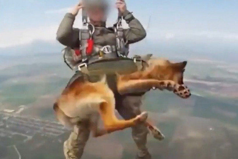 Ruski padobranci skaču s psima, koji šapama pokušavaju da dohvate zemlju sa 4.000 metara (VIDEO)