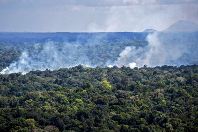 Amazonska prašuma se guši: "Pluća sveta" više ne rade protiv globalnog zagrevanja