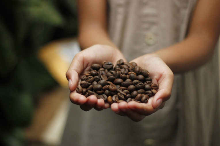 Preti nestašica kafe i šećera? Klimatske promene smanjiće proizvodnju za više od 50 odsto