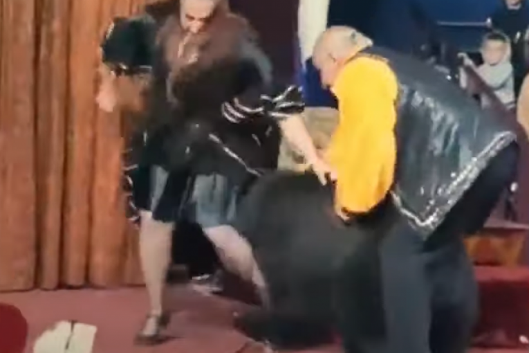 Medved napao ženu u cirkusu! Publika sve unezvereno gledala (VIDEO)