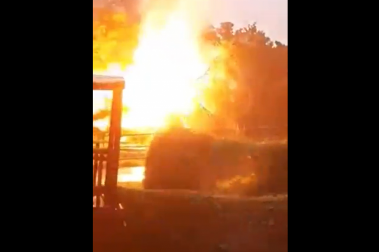 Stablo palo na visokonaponsku mrežu, nastao požar i prekid železničkog saobraćaja (VIDEO)