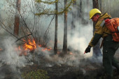Ruski ekolozi upozoravaju! Samo kiša može pomoći da se ugase ogromni šumski požari (VIDEO)