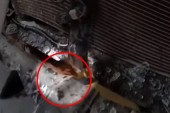 Dramatične scene spasavanja: Pogledajte kako izvlače bebu zarobljenu ispod automobila! (VIDEO)