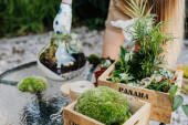Napravite vrt u tegli - jedini ekosistem koji možete da kontrolišete