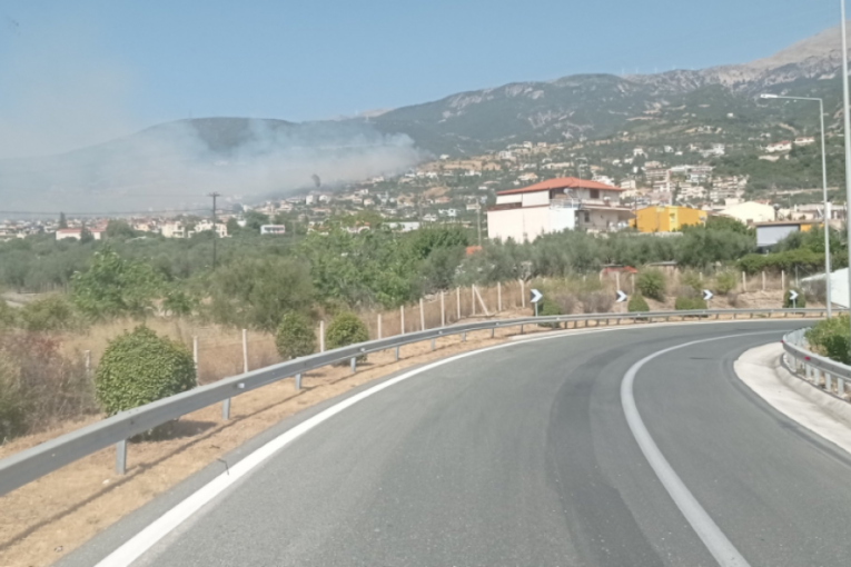 Veliki požar u Grčkoj: Zbog nezaustavljive vatrene stihije evakuiše se cela opština (VIDEO)