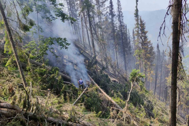 Požar zahvatio i Taru: Gori šuma na granici sa Bosnom, ugroženo 100 hektara i Pančićeva omorika (FOTO)