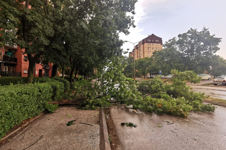 Oluja ostavila haos iza sebe u Čačku i Valjevu: "Gledali smo kako vetar čupa drvo iz korena"