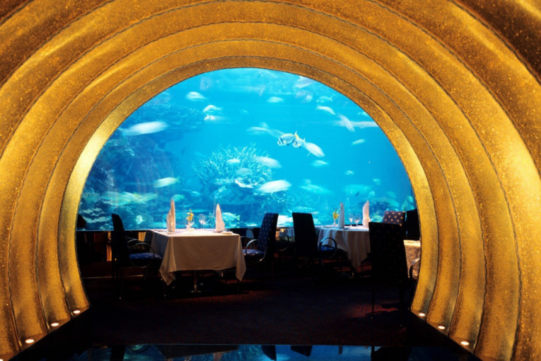 Večera u društvu egzotičnih morskih stvorenja: Restorani u kojima ćete se osećati kao sirene