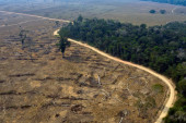Neverovatno otkriće u Amazonu: Satelit u prašumi pronašao najviše drvo, visoko 88 metara (VIDEO)