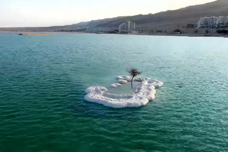 Drvo života u mrtvom moru (VIDEO)