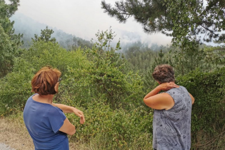 Meštani zlatiborskih sela sa strepnjom gledaju u šumu koja gori pred njihovim očima: Kiša im je jedini spas