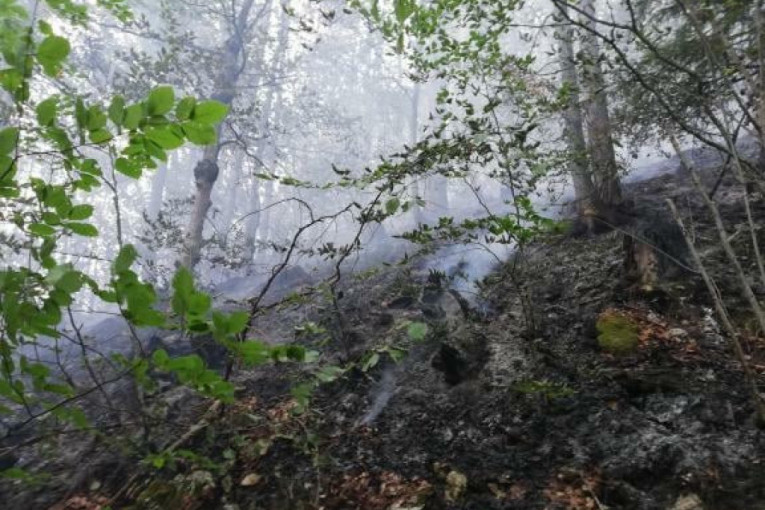 Tokom letnjih meseci u Zlatiborskom okrugu izgorelo oko 1.000 hektara šume: I dalje rizik zbog vrućina