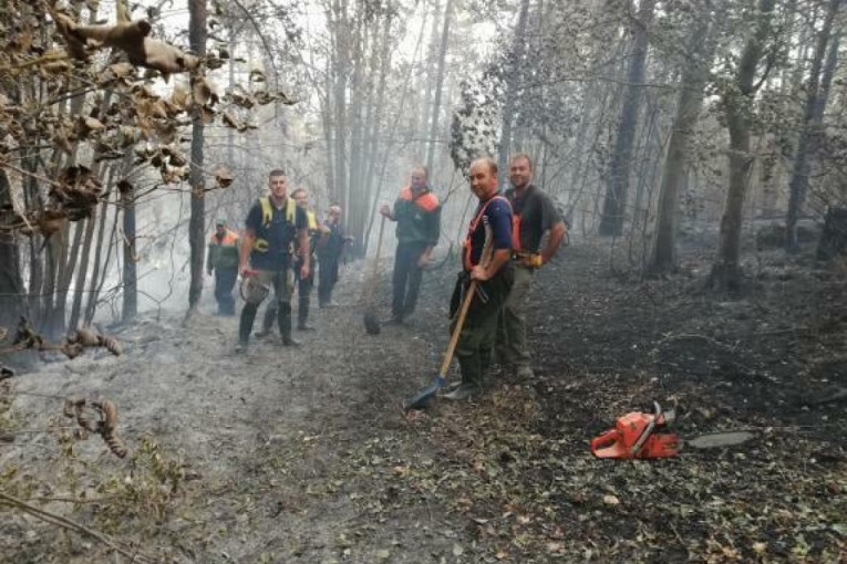 Požari lokalizovani na Zlatiboru i Tari: Vatrena stihija još preti brdu Brijač na Murtenici