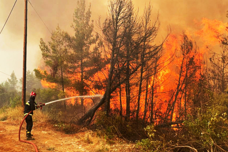 "Maksimalno smo iscrpljeni": Vapaji vatrogasaca koji brane sela oko Cetinja