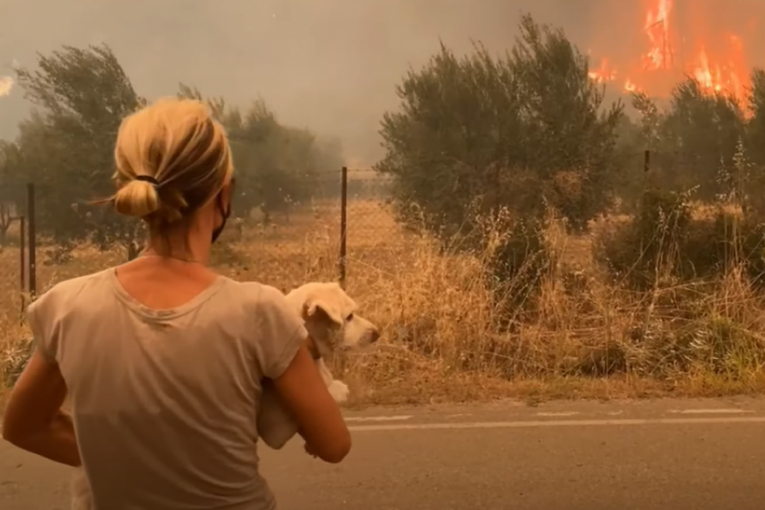 Evija nestaje u plamenu, mnogi ne žele da se evakuišu: Ne možemo da dopustimo da nam domovi izgore! (VIDEO)