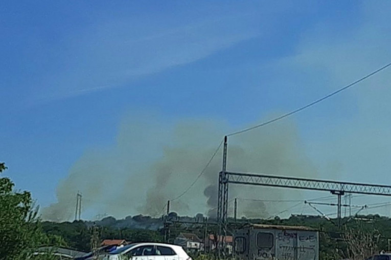 Požar u Resniku: Vatra preti da ugrozi kuće, meštani uplašeni (FOTO)