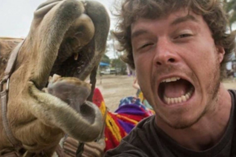 Alan Dikson, po zanimanju fotograf, po opredeljenju avanturista: Pravi lude selfije sa životinjama (VIDEO)