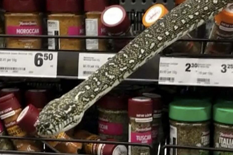 Ženu u prodavnici na policama dočekala zmija: Bila je 20 centimetara od mog lica (VIDEO)