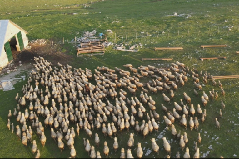 Kraj višedecenijskim mukama stočara: Meštani sela kod Nove Varoši konačno će napojiti stoku i zaliti oranice
