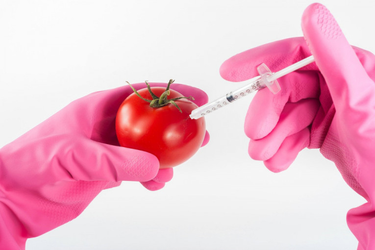 Ješćemo još sedam GMO sorti: Novo odobrenje inženjeringa hrane