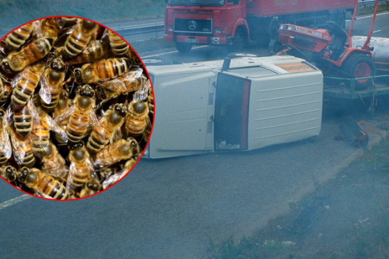 Scena kao u horor filmu kod Banatskog Novog Sela: Pčele izujedale vozača, lekare i policajce!