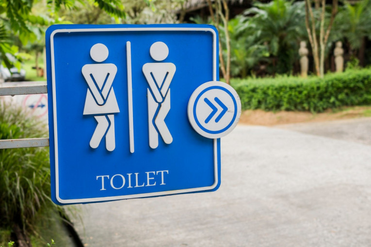 Lekarka upozorila šta nikako ne smete da radite u javnom toaletu