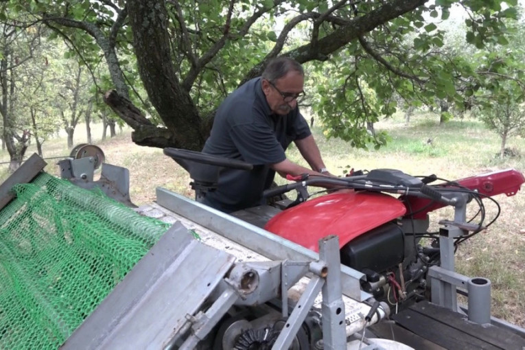 Voćarima fale berači ali inspektor će to da sredi: Momirova mašina menja 100 radnika