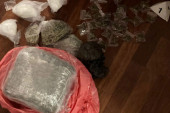 Policijski prepad na Zvezdari: Golobradom dileru u stanu pronašli spid i skank