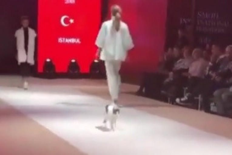 Ko to tamo hoda kao ja: Mačka upala na modnu reviju i pokazala manekenkama šta je catwalk (VIDEO)
