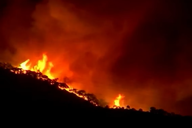 Bukte požari u Španiji: U Andaluziji gase požar, u Kosta del Sol stanovnici gnevni