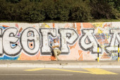 Za lepši grad: Počela akcija uklanjanja grafita na Zvezdari