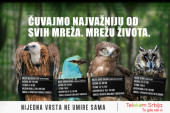 „Nijedna vrsta ne umire sama“: Nova kampanja Telekoma Srbija
