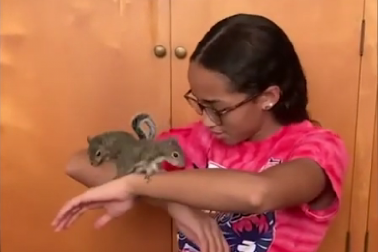 Hrabra tinejdžerka spasla siročad veverice usred evakuacije zbog uragana „Ajda“